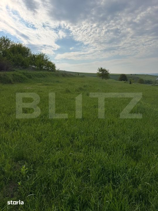 Teren Intravilan, 20 ari, Moara, Bulai