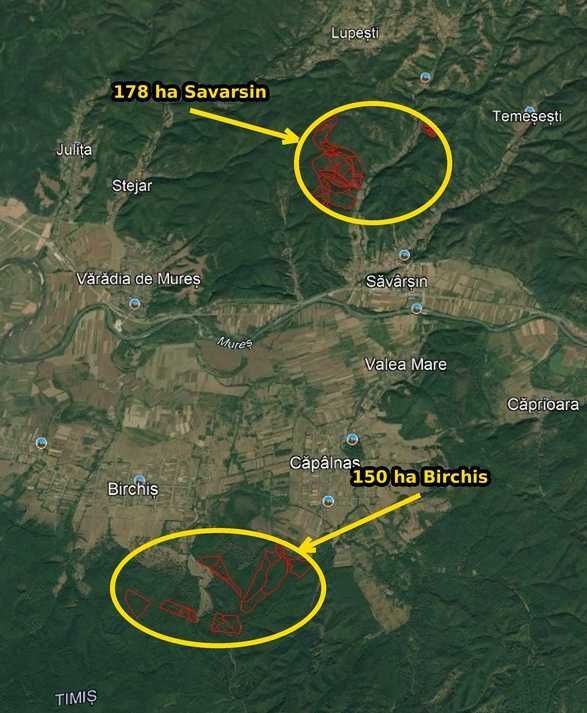 Padure de vanzare Arad: 150 ha + 178 ha